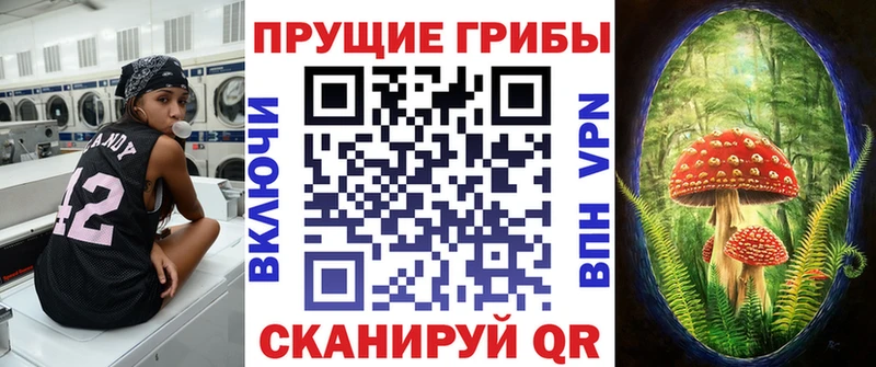 Псилоцибиновые грибы мухоморы  Сегежа 