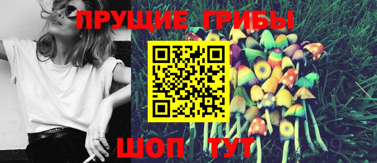 Сегежа  Галлюциногенные грибы Psilocybe  Галлюциногенные грибы прущие грибы  Вход с VPN 